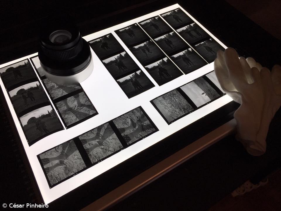 FOCUS AG: resistir ao imediatismo do clique – Imagem 3