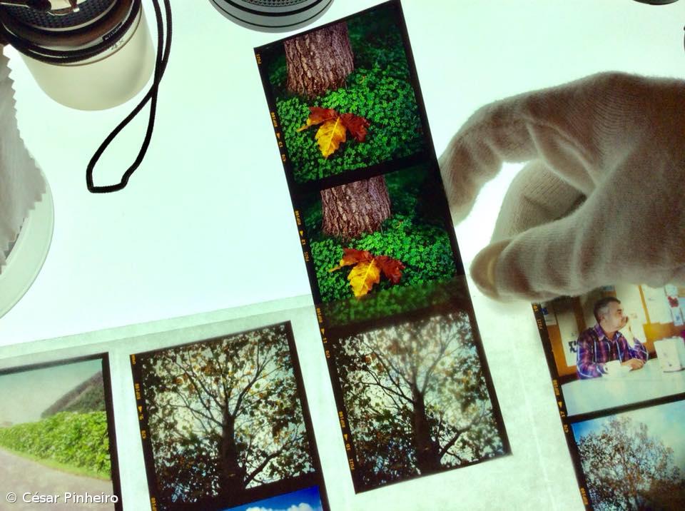 FOCUS AG: resistir ao imediatismo do clique – Imagem 4