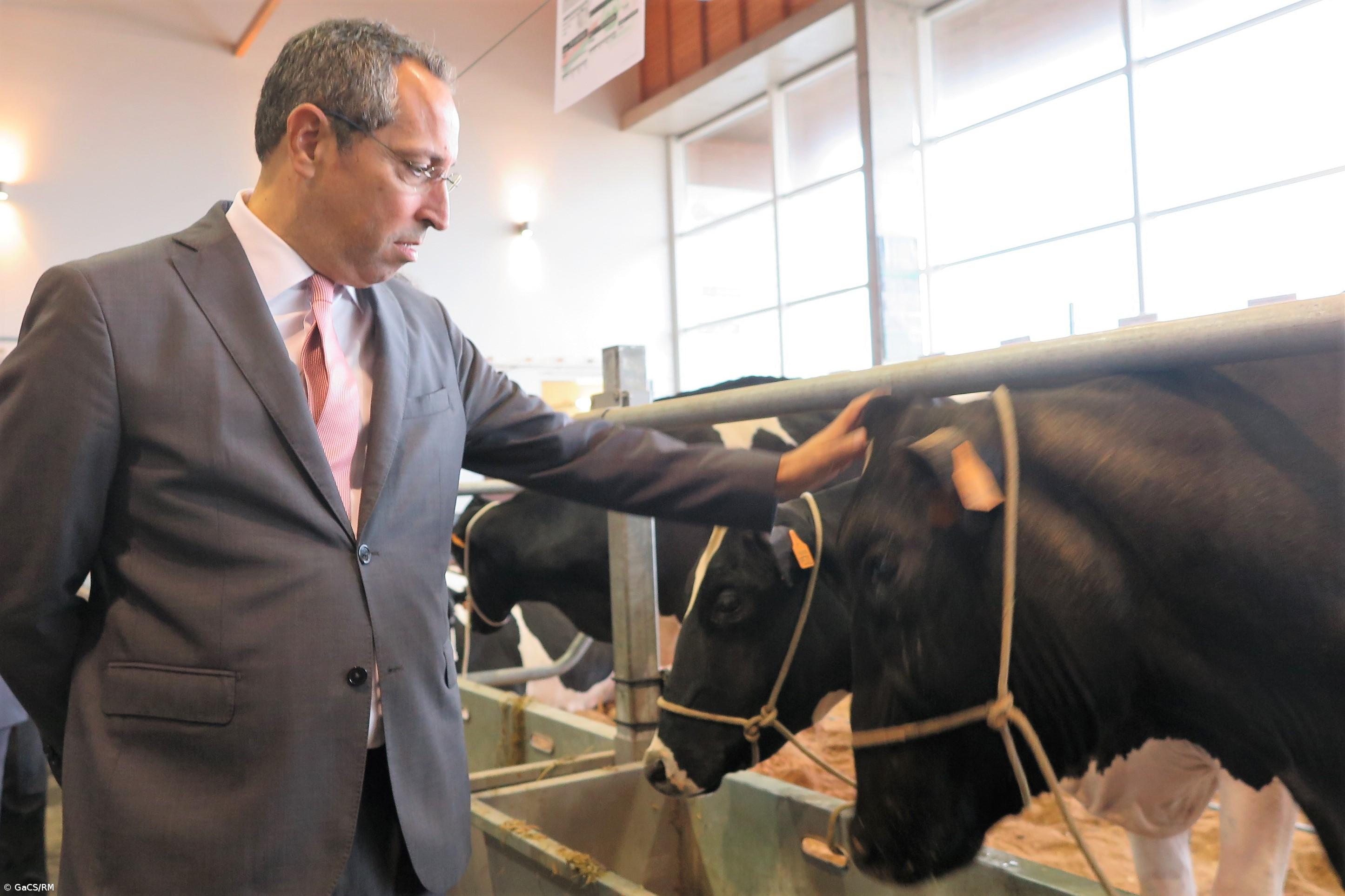 Secretário da Agricultura dos Açores pede "reflexão com profundidade" sobre alterações climáticas – Imagem 1