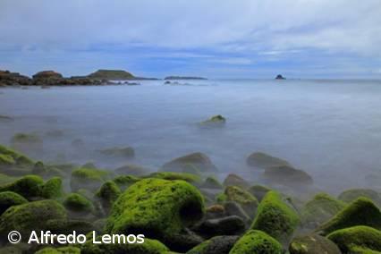 “Paisagens de Mar” em exposição no Parque Atlântico – Imagem 1