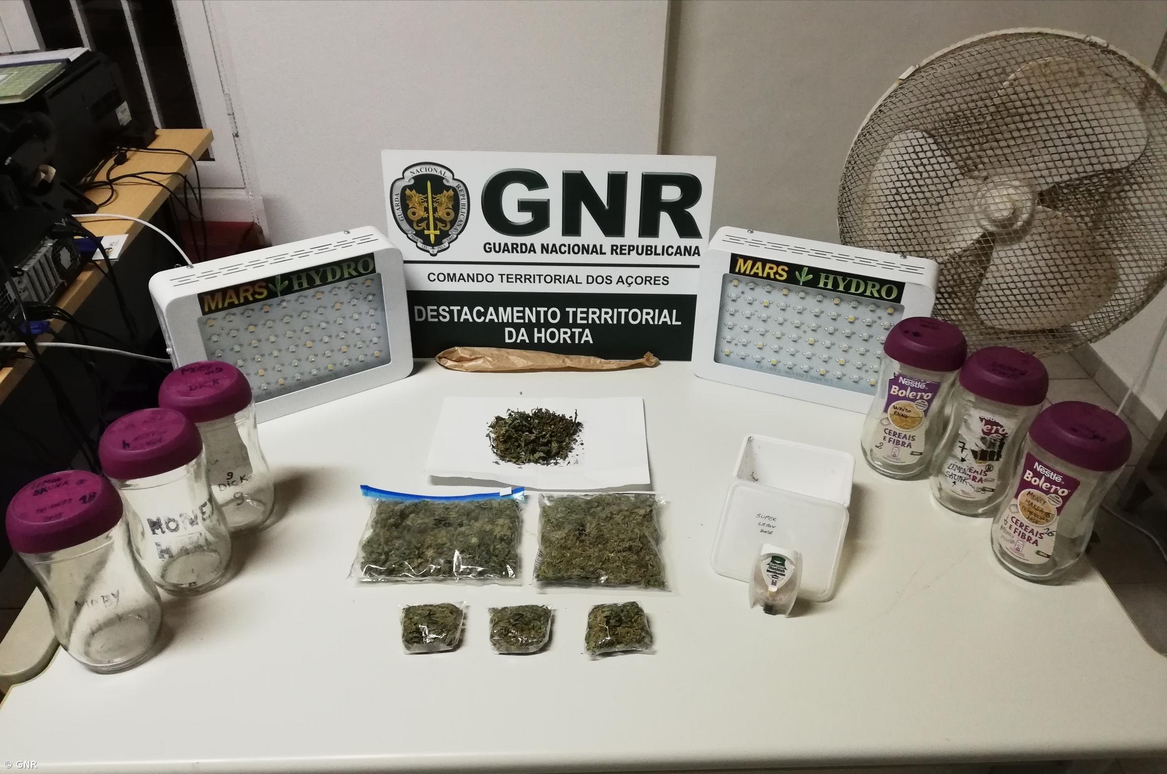 Detido homem por tráfico de estupefacientes na Horta – Imagem 1