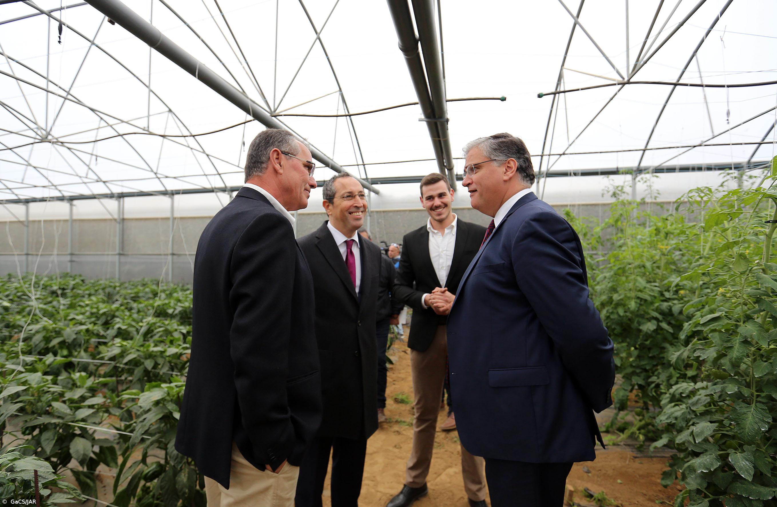 Vasco Cordeiro destaca resposta positiva dos jovens ao objetivo de rejuvenescer a Agricultura dos Açores – Imagem 1