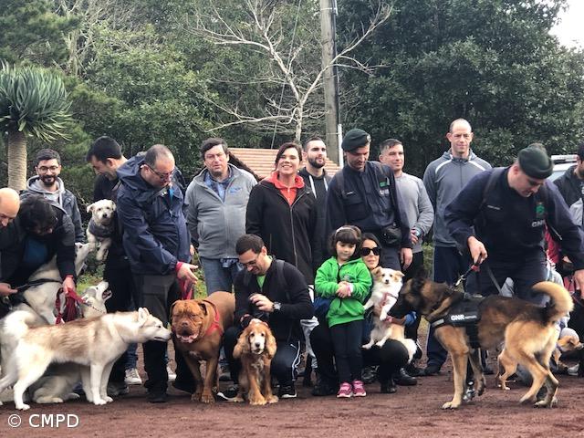 Mais de uma dezena de pessoas na «Cãominhada Solidária»  – Imagem 1