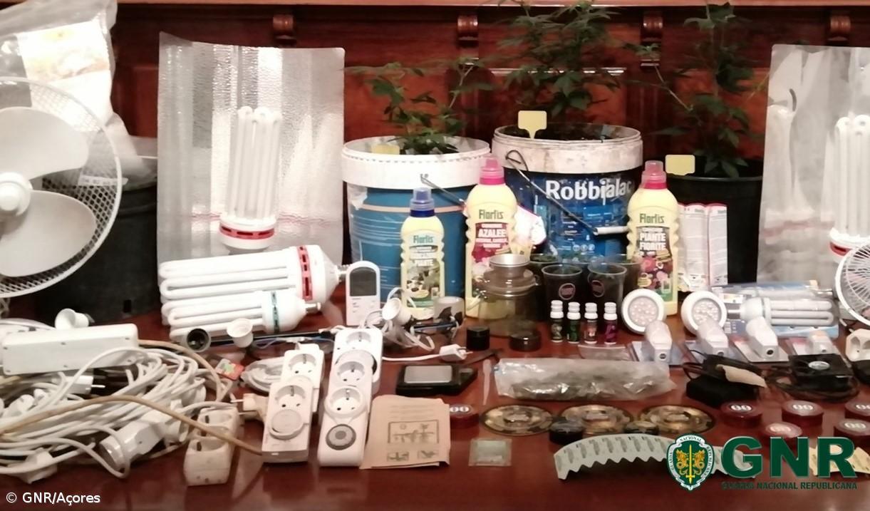 Detido homem por tráfico de estupefacientes na Horta – Imagem 1