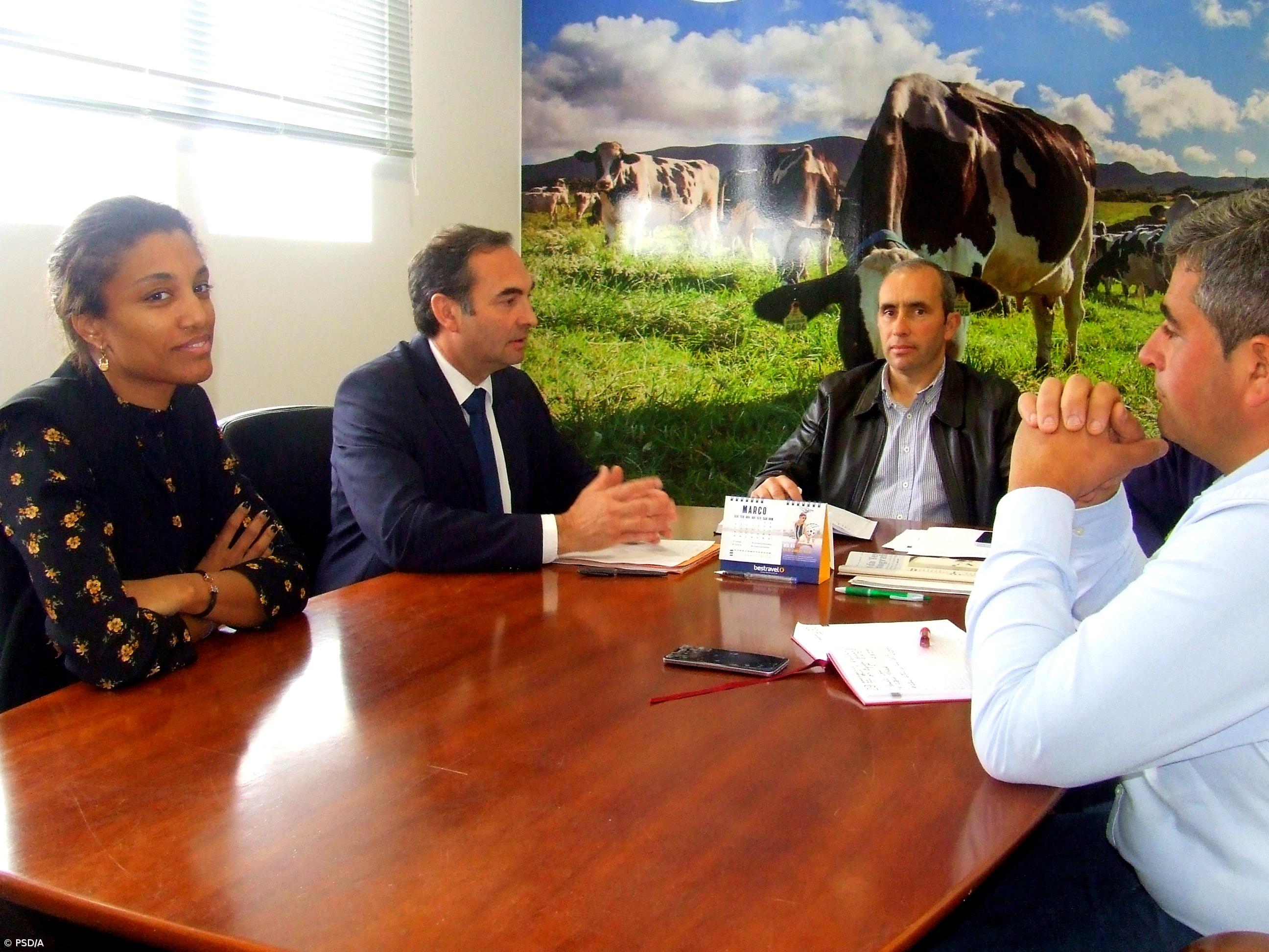 Roteiro para neutralidade carbónica é atentado à agricultura açoriana – Imagem 1