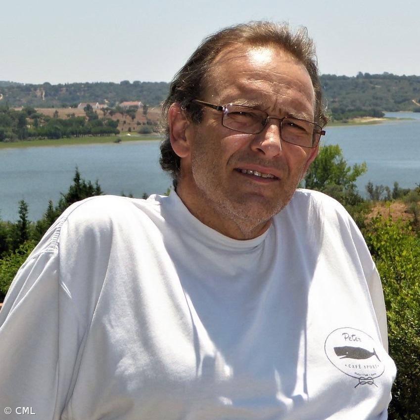 Faleceu Rui Ramos, ex-deputado regional do PSD/Açores – Imagem 2