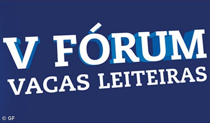 Finançor Agro-Alimentar alerta que “silagens de qualidade dão dinheiro” – Imagem 1