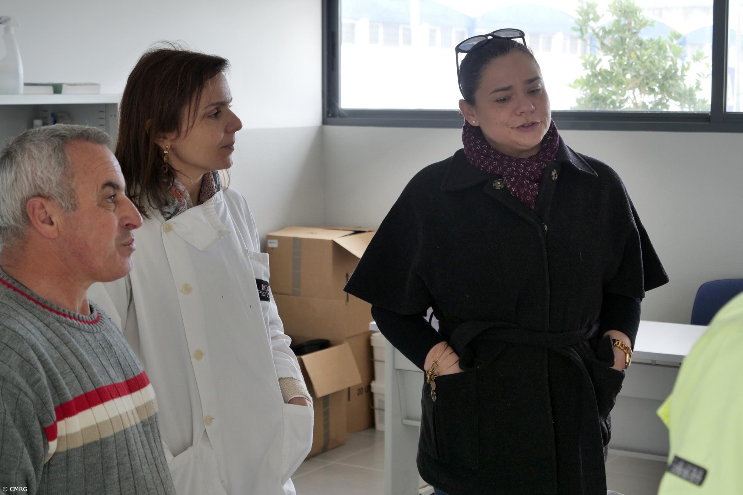 Ribeira Grande aumenta número de adoções e esterilizações de animais – Imagem 1