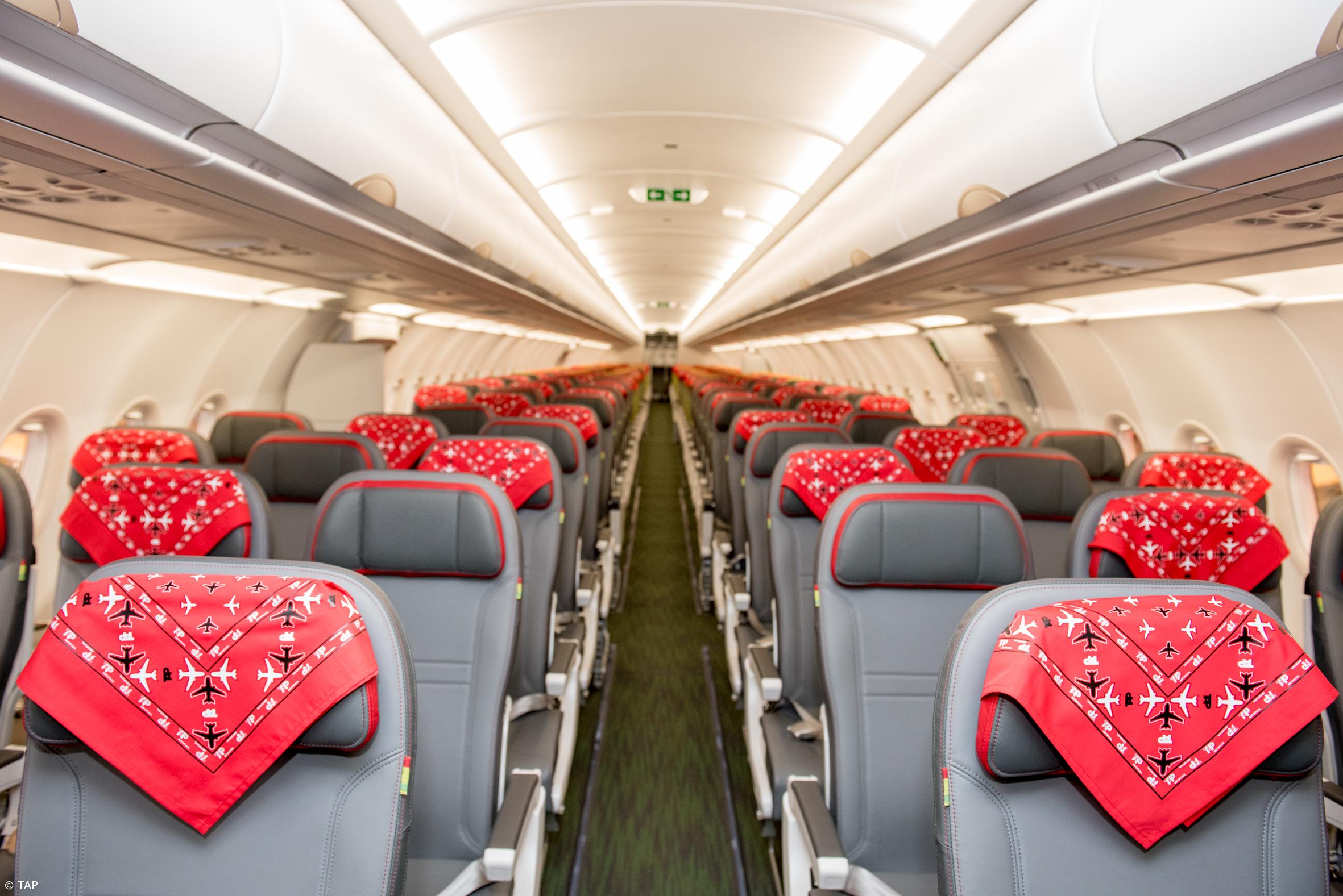 Avião da TAP batizado com o nome de Zé Pedro dos Xutos & Pontapés – Imagem 2