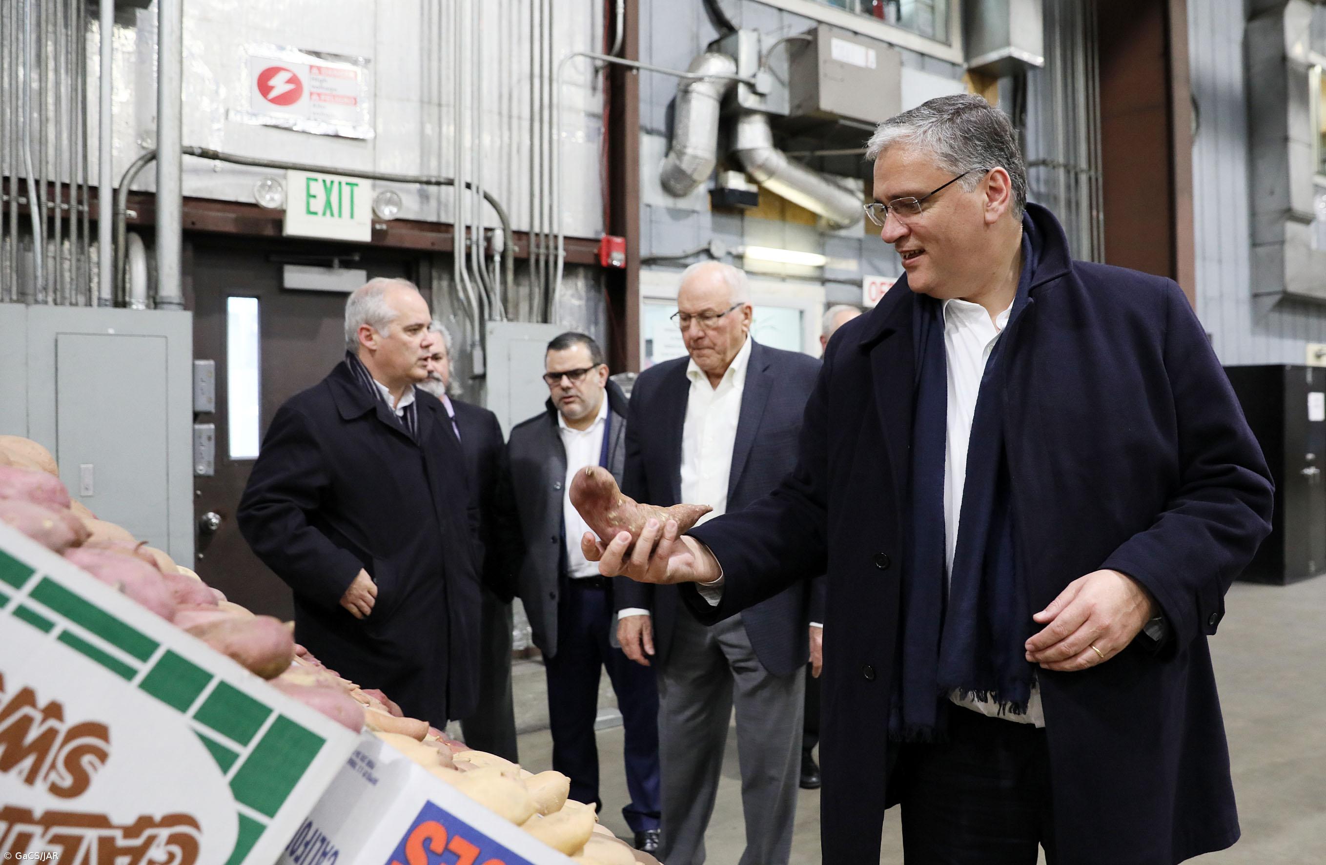 Açores e Califórnia podem fortalecer sinergias em várias áreas – Imagem 1