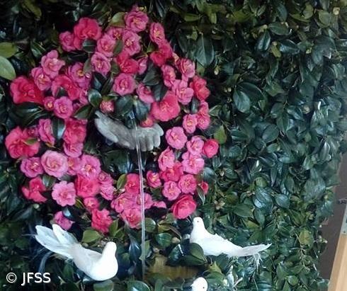 Junta de Freguesia de Santa Bárbara promove II Exposição de Camélias – Imagem 1