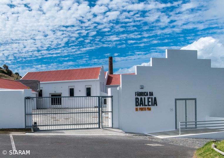 Horta inaugura espaço interpretativo do património cultural e natural subaquático – Imagem 1