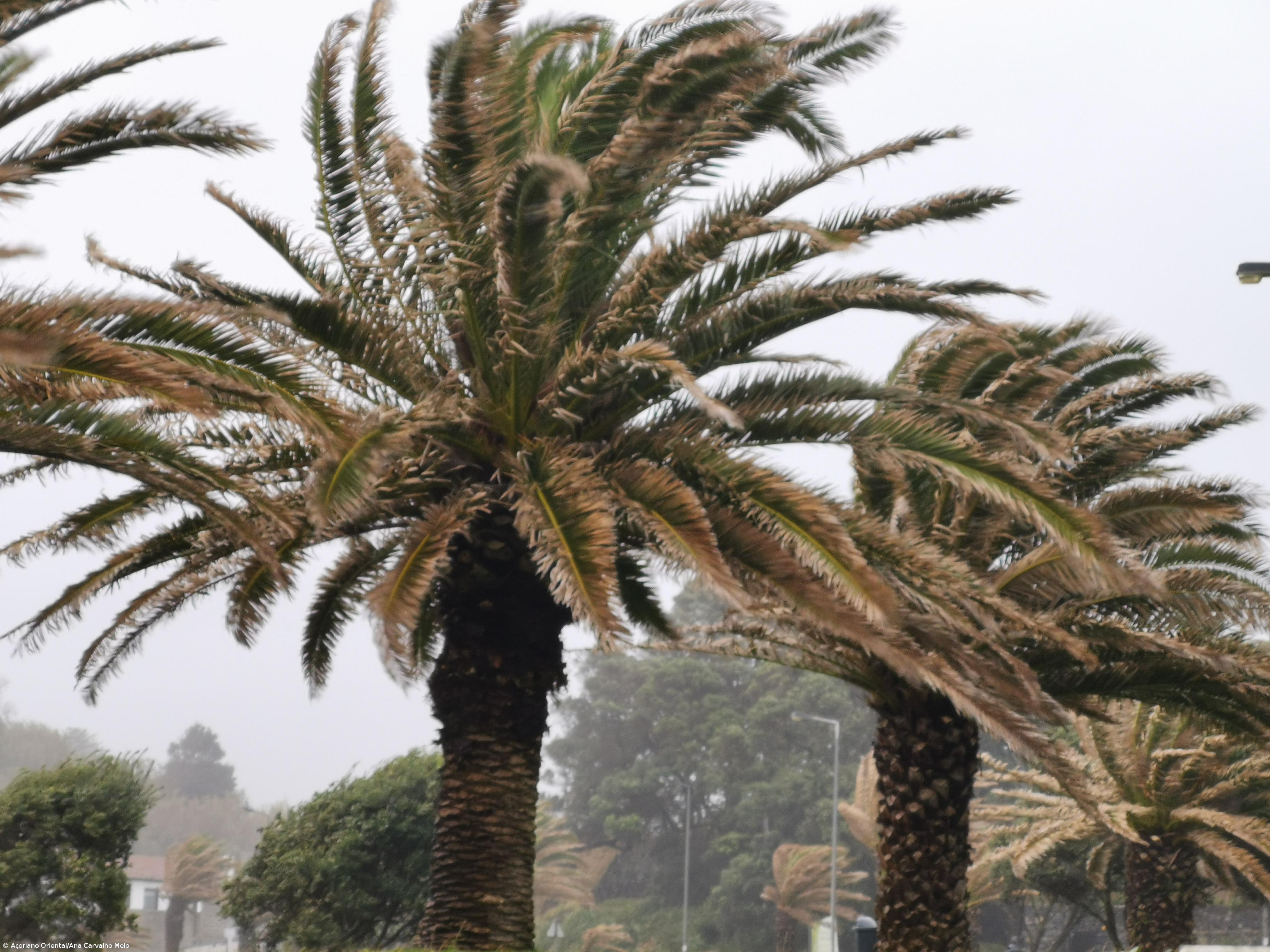Trânsito condicionado em várias estradas regionais  – Imagem 1