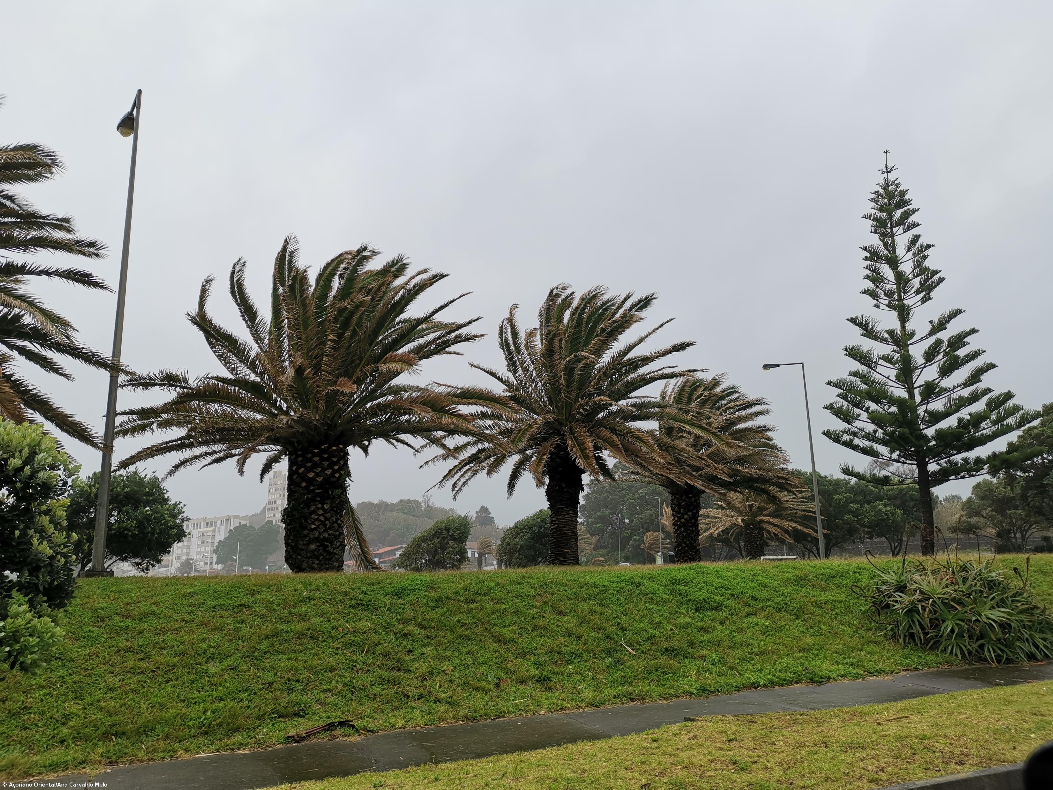 Grupo Ocidental e Oriental sob aviso amarelo – Imagem 1