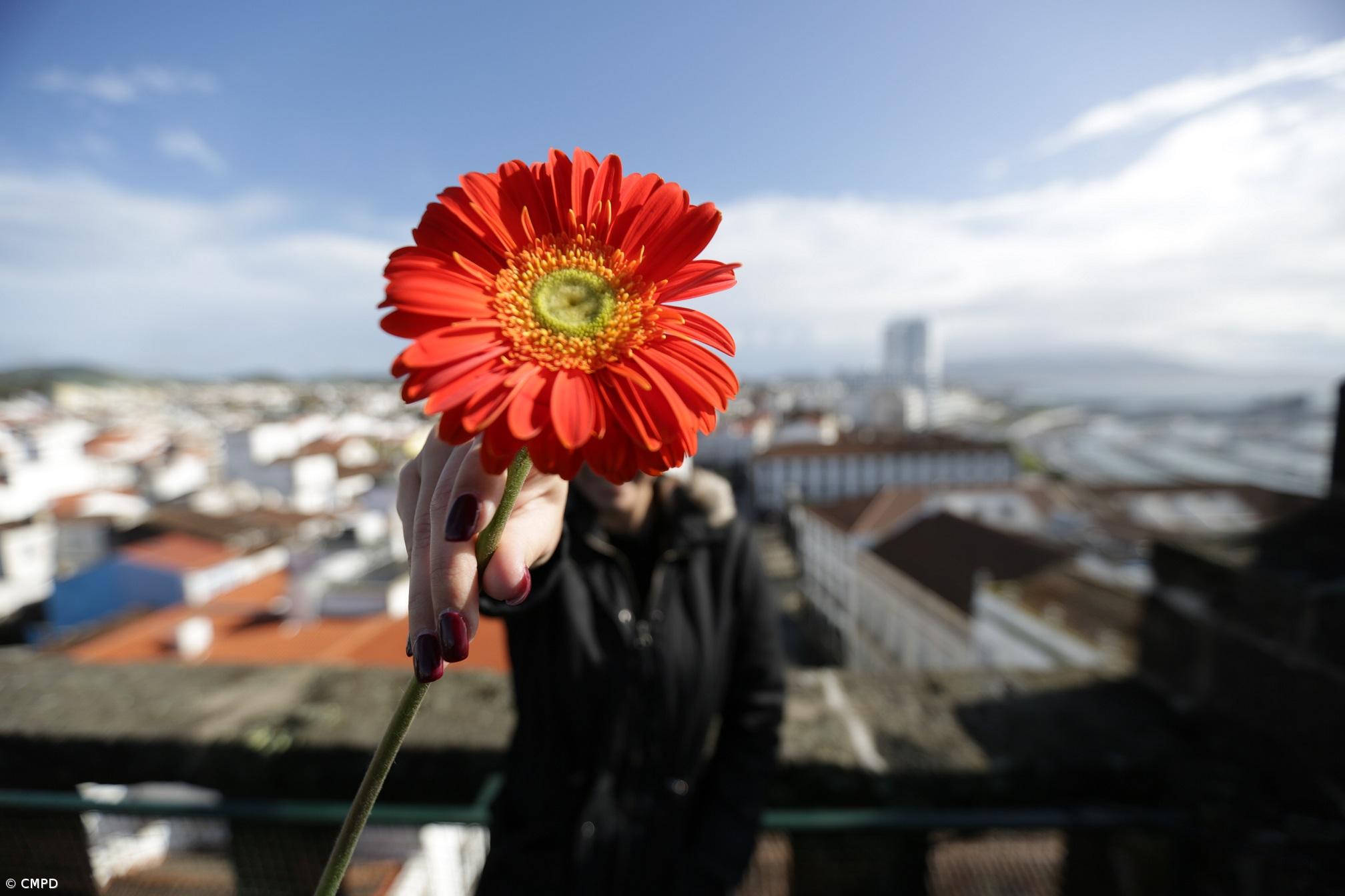 Autarquia de Ponta Delgada assinala Dia Internacional da Mulher – Imagem 1