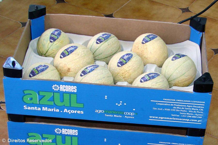 Artesã quer usar meloa de Santa Maria, para fazer sabonetes – Imagem 1