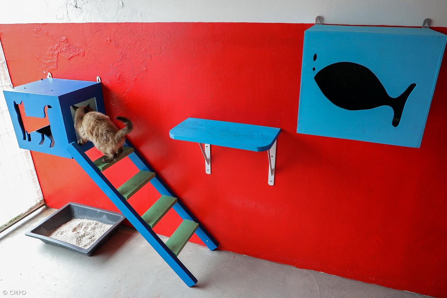 Utentes da Casa dos Manaias criam nova imagem nos gatis do CRO – Imagem 1