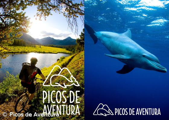 Picos de Aventura nomeado para os 'Portugal Trade Awards' – Imagem 1