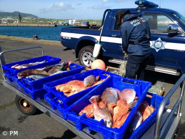 Polícia Marítima apreende 110kg de pescado ao largo da ilha Terceira – Imagem 1