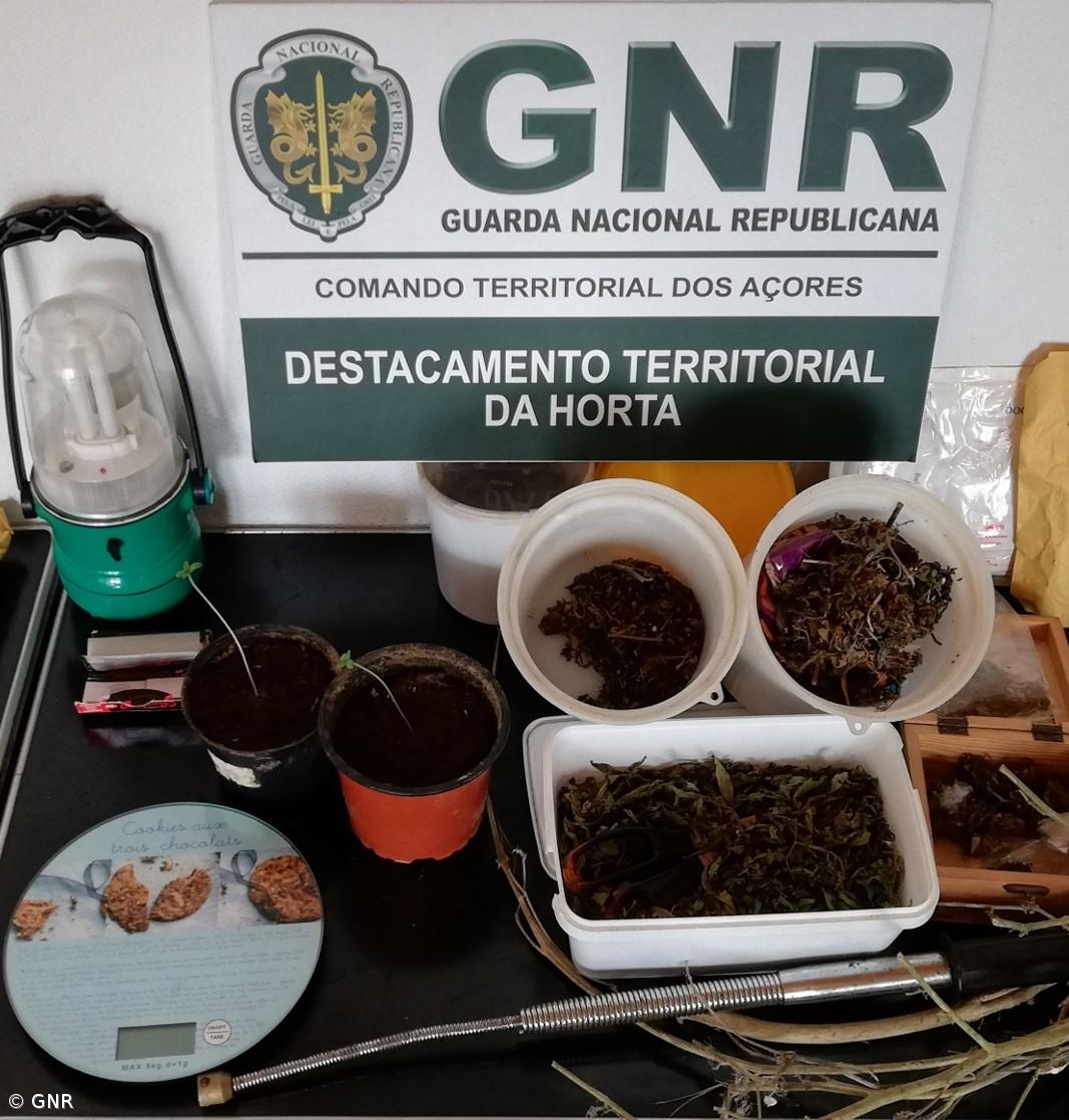 Detidos por tráfico de droga na Horta – Imagem 1