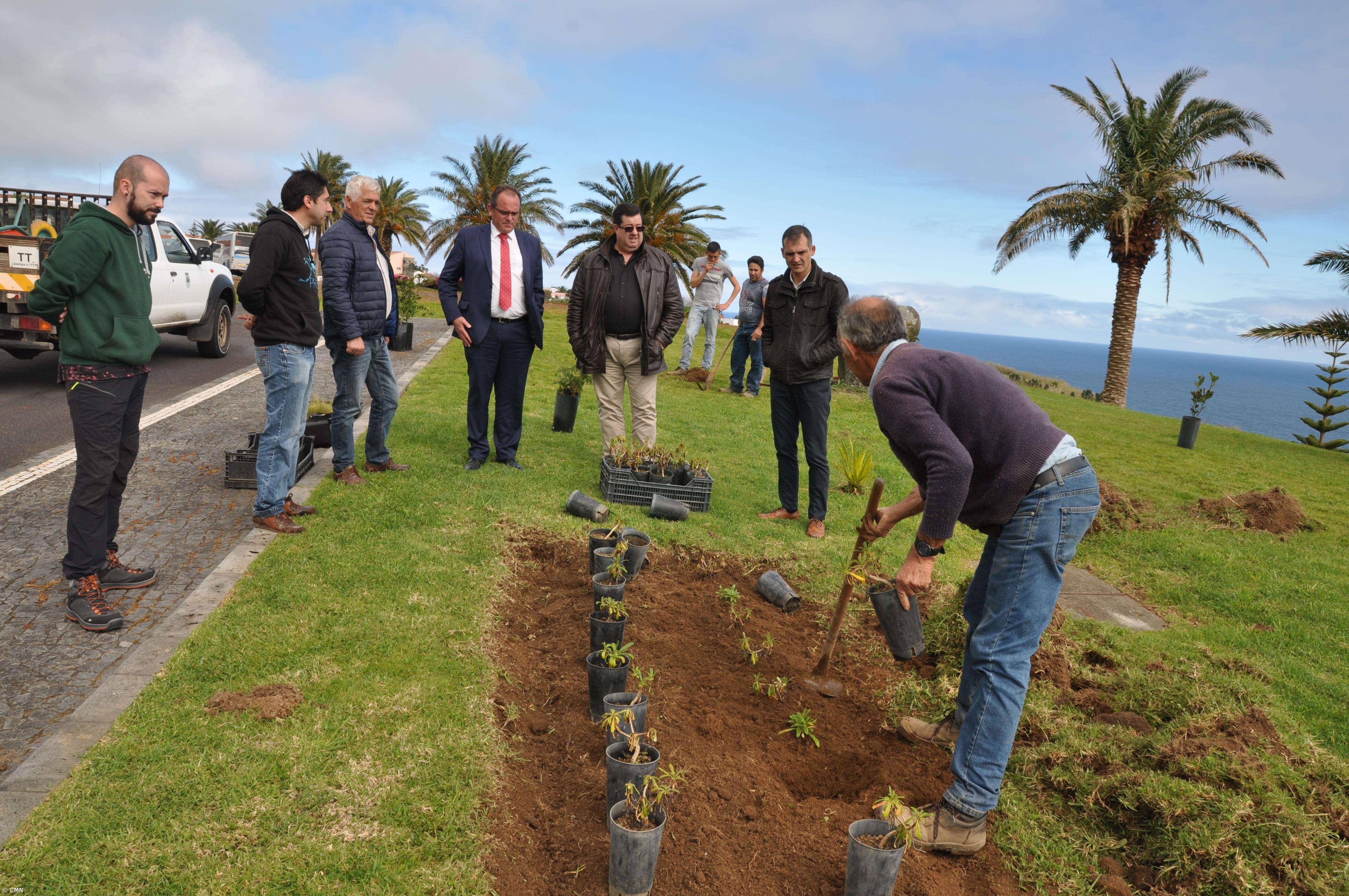 Câmara do Nordeste ajardina espaços públicos com endémicas  – Imagem 1