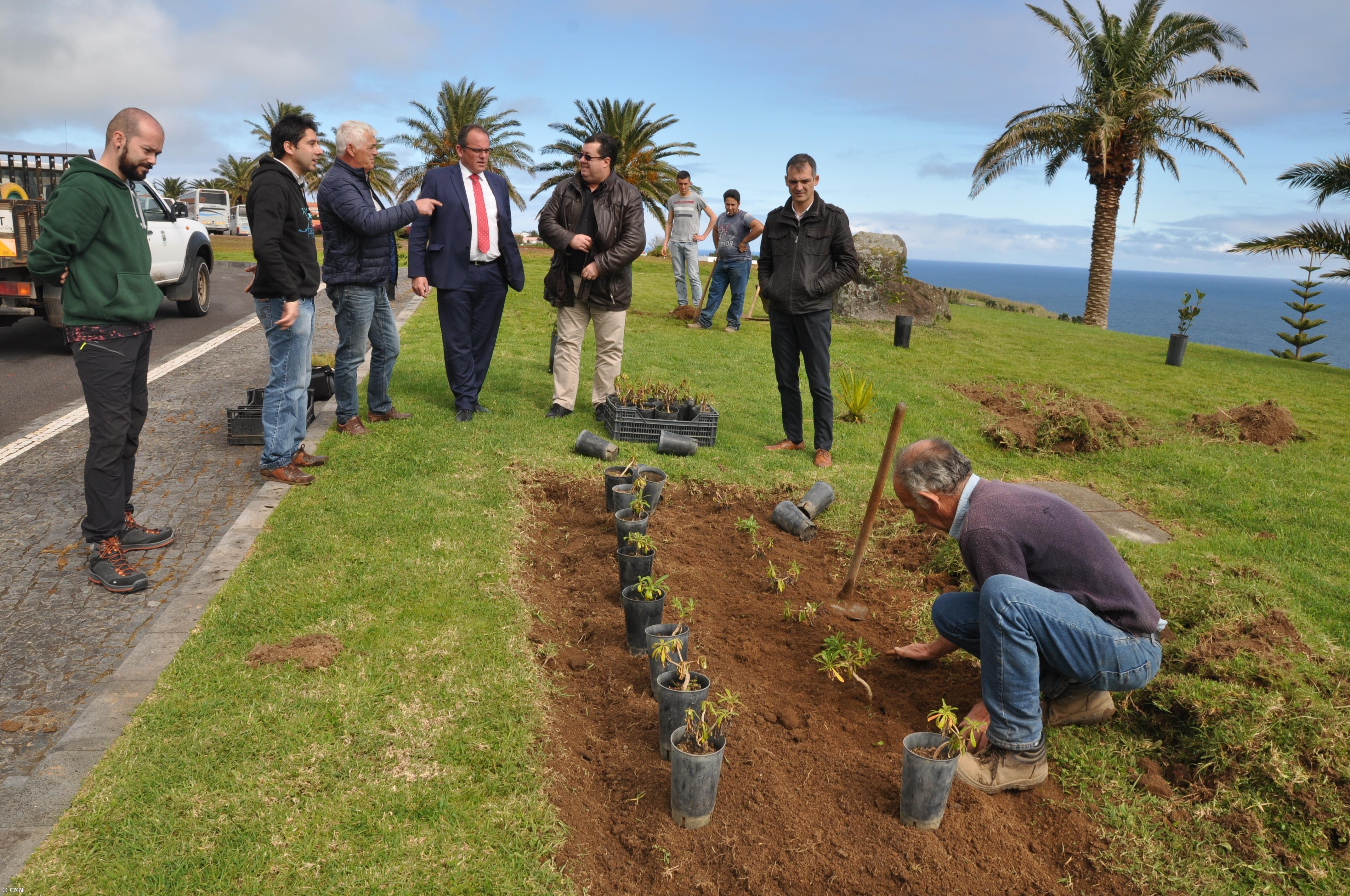 Câmara do Nordeste ajardina espaços públicos com endémicas  – Imagem 2