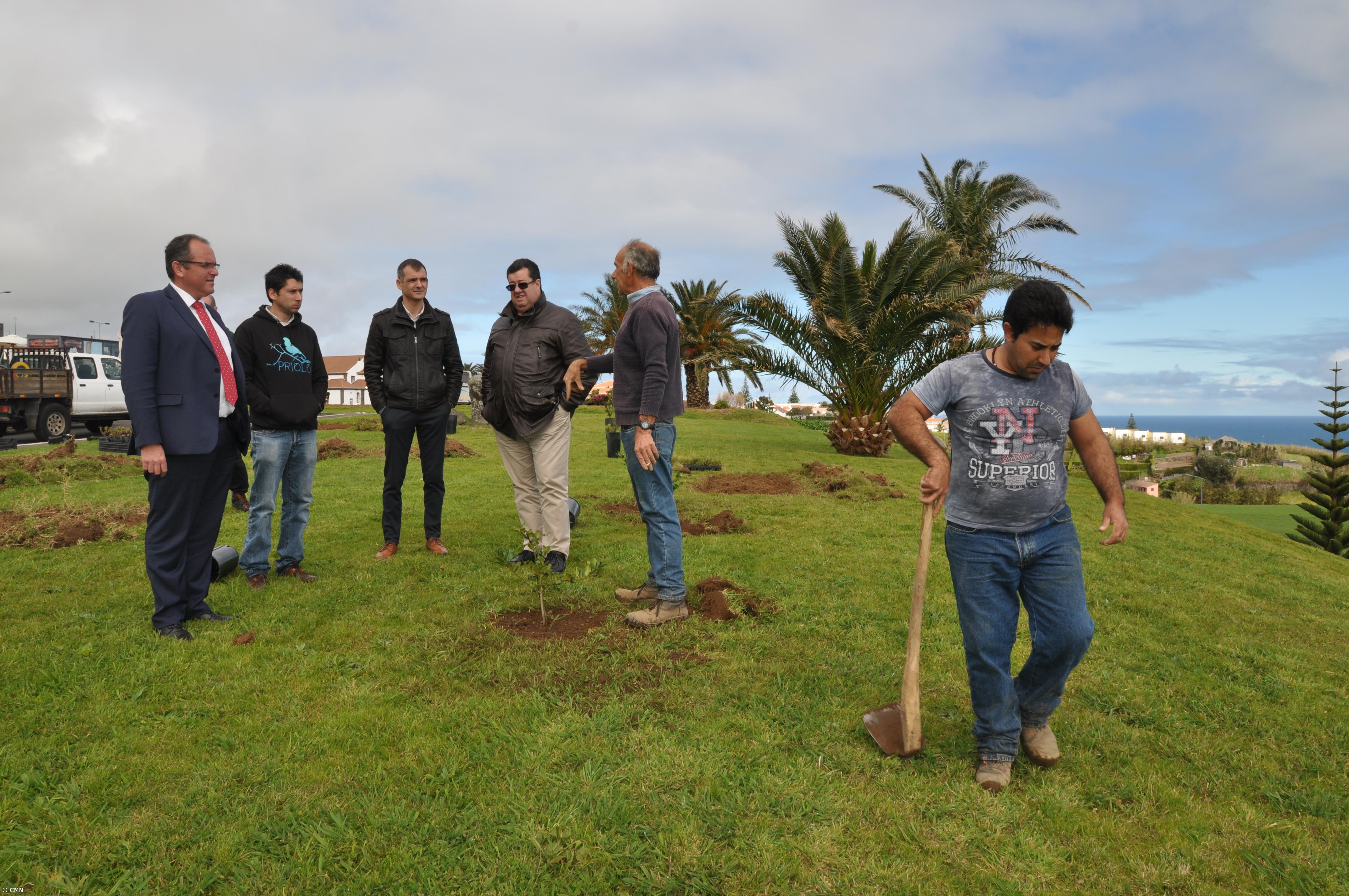 Câmara do Nordeste ajardina espaços públicos com endémicas  – Imagem 3
