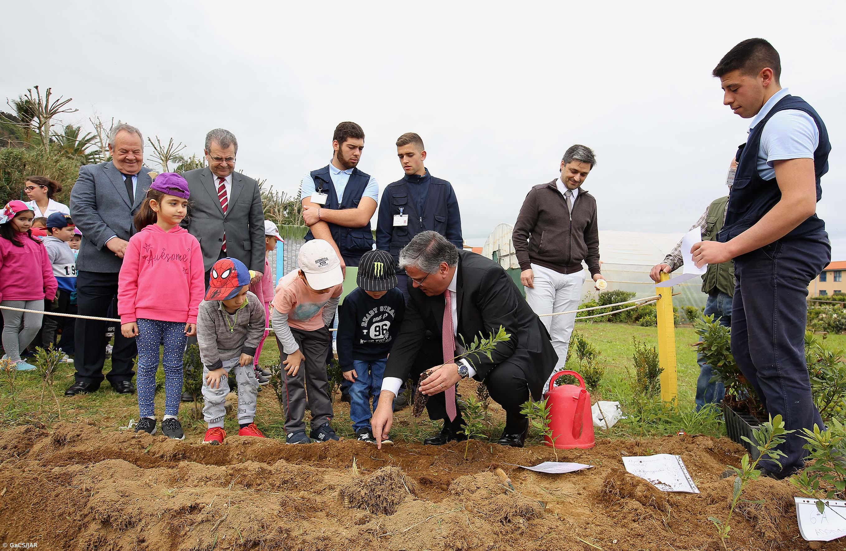 Vasco Cordeiro anuncia que inventário florestal dos Açores vai ser revisto – Imagem 1