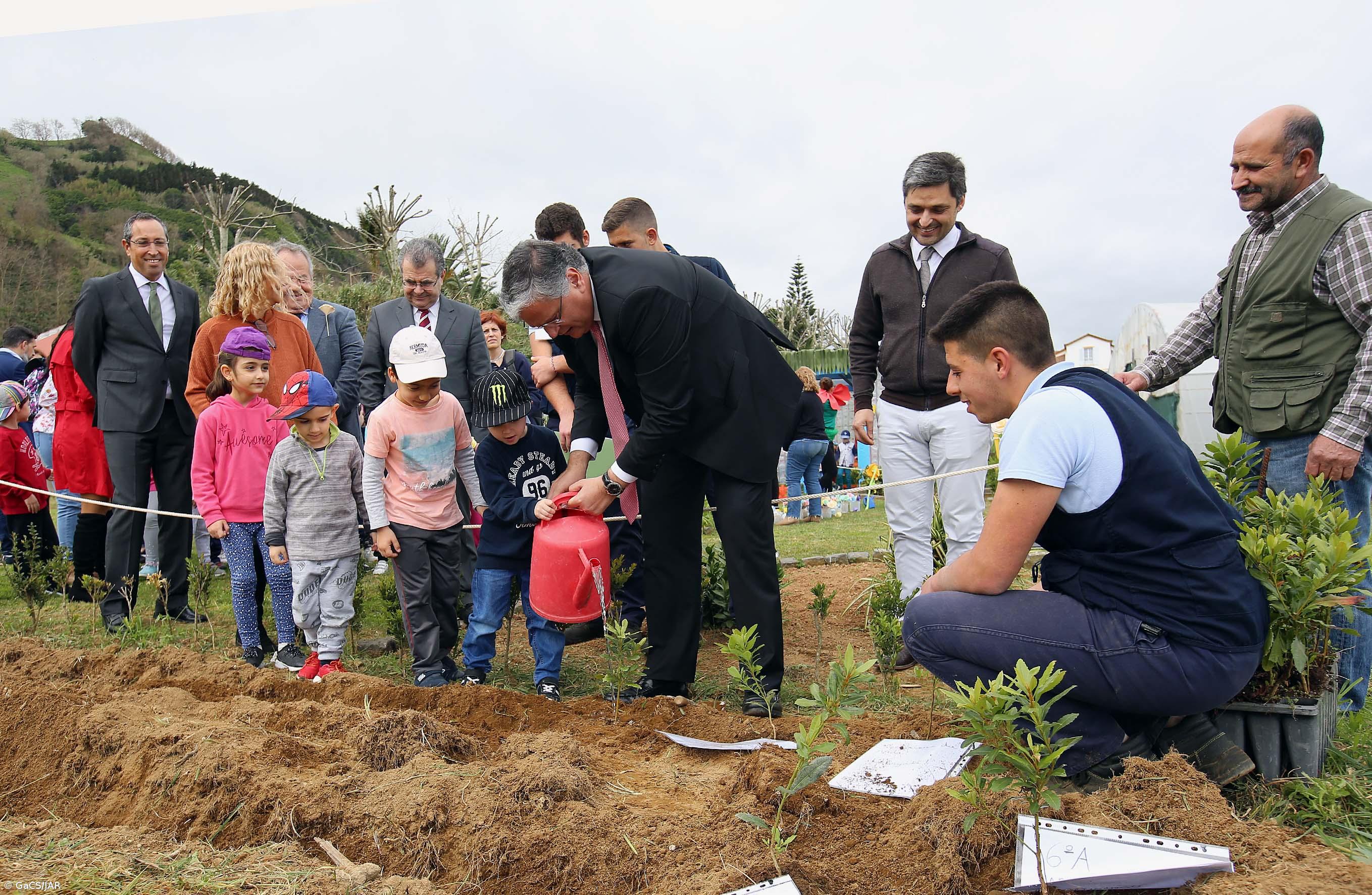 Vasco Cordeiro anuncia que inventário florestal dos Açores vai ser revisto – Imagem 2