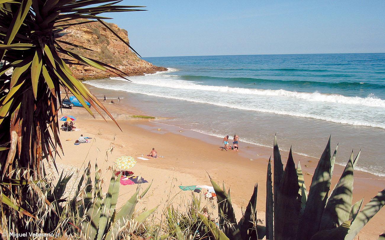 Associação Zero alerta para agravamento da qualidade da água nas praias portuguesas – Imagem 1