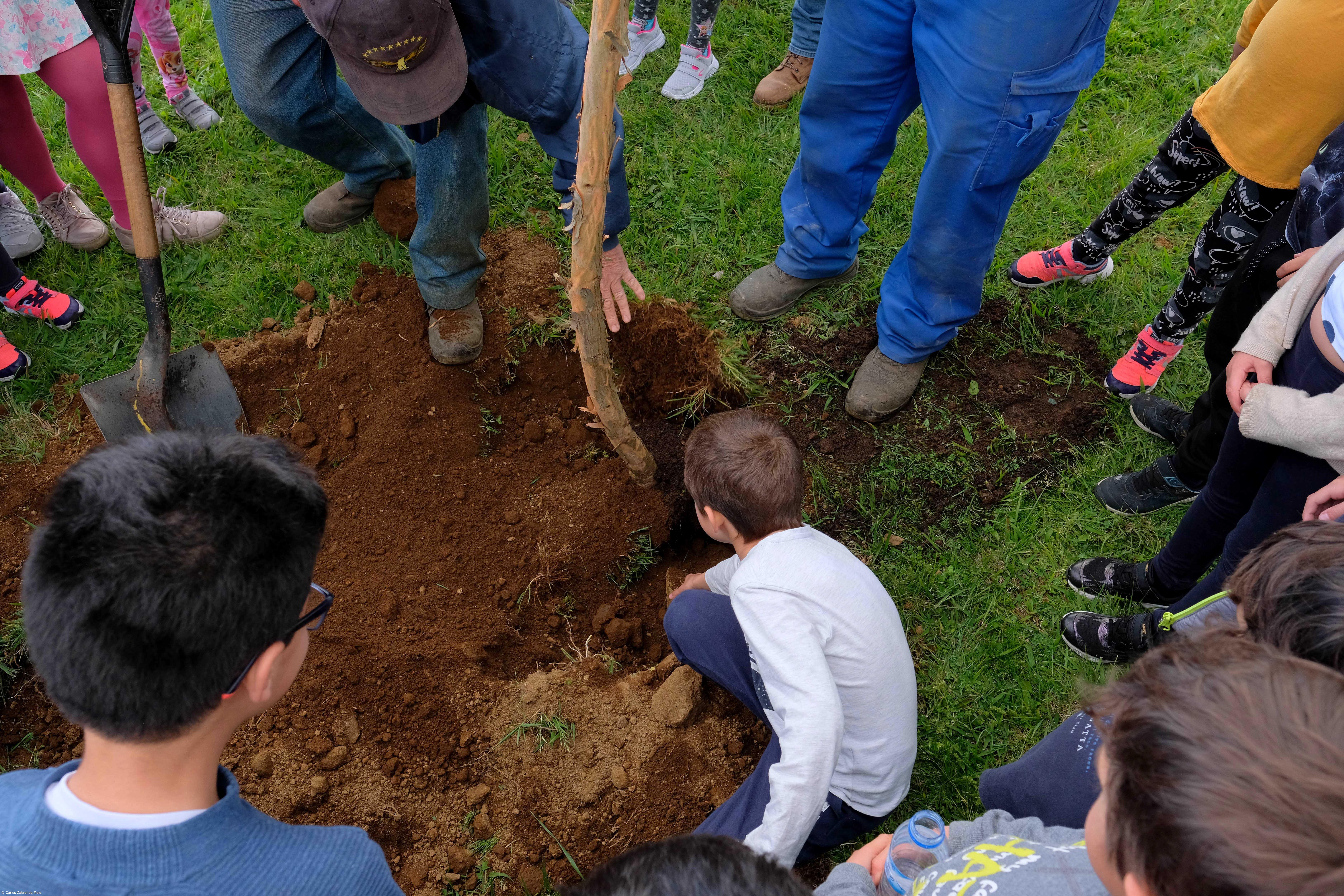 CRACA já ‘planta’ a quinta vida do Jardim Fest  – Imagem 2