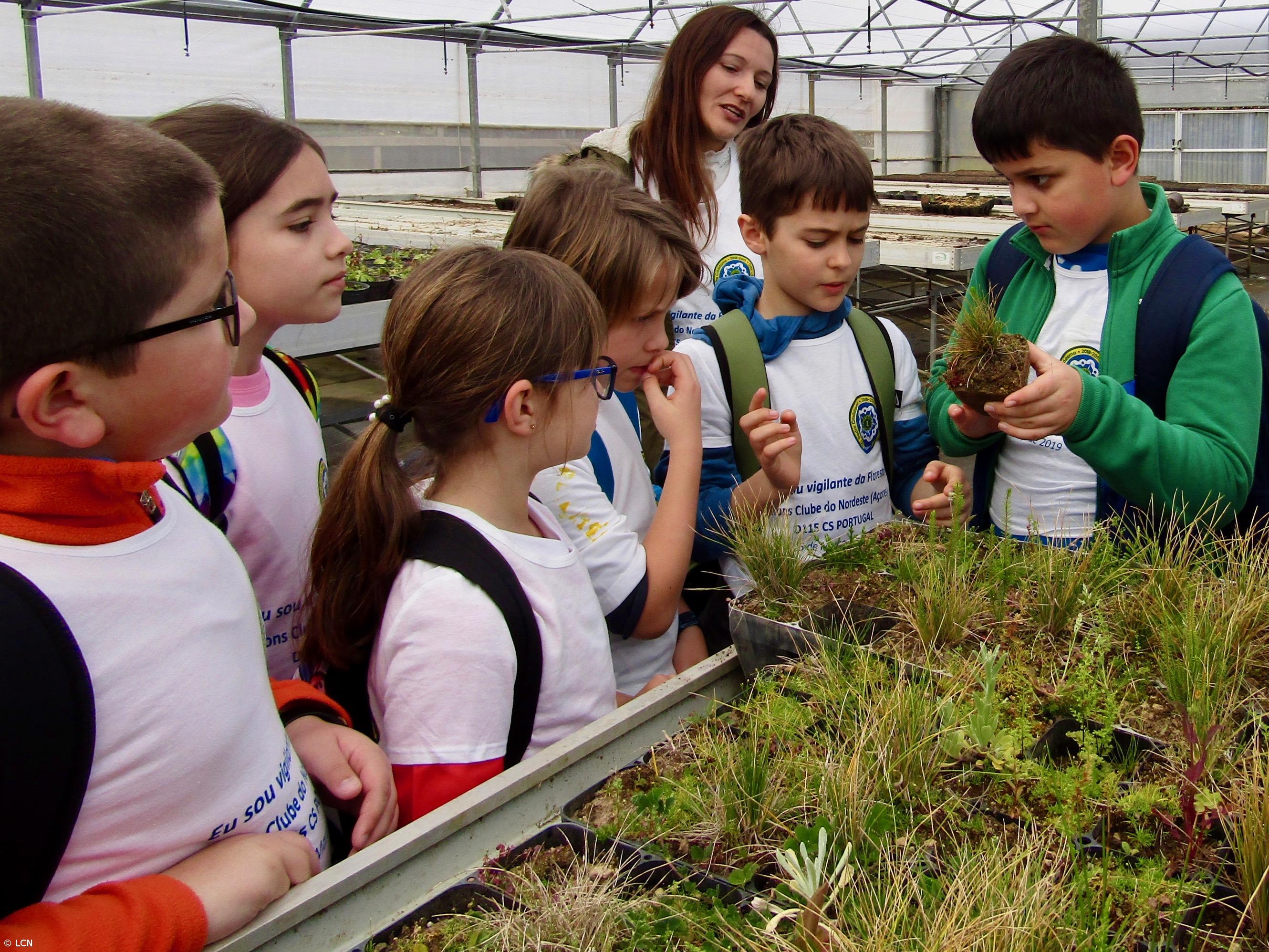 Lions Clube de Nordeste em ação “Eu Sou vigilante da Floresta” – Imagem 1