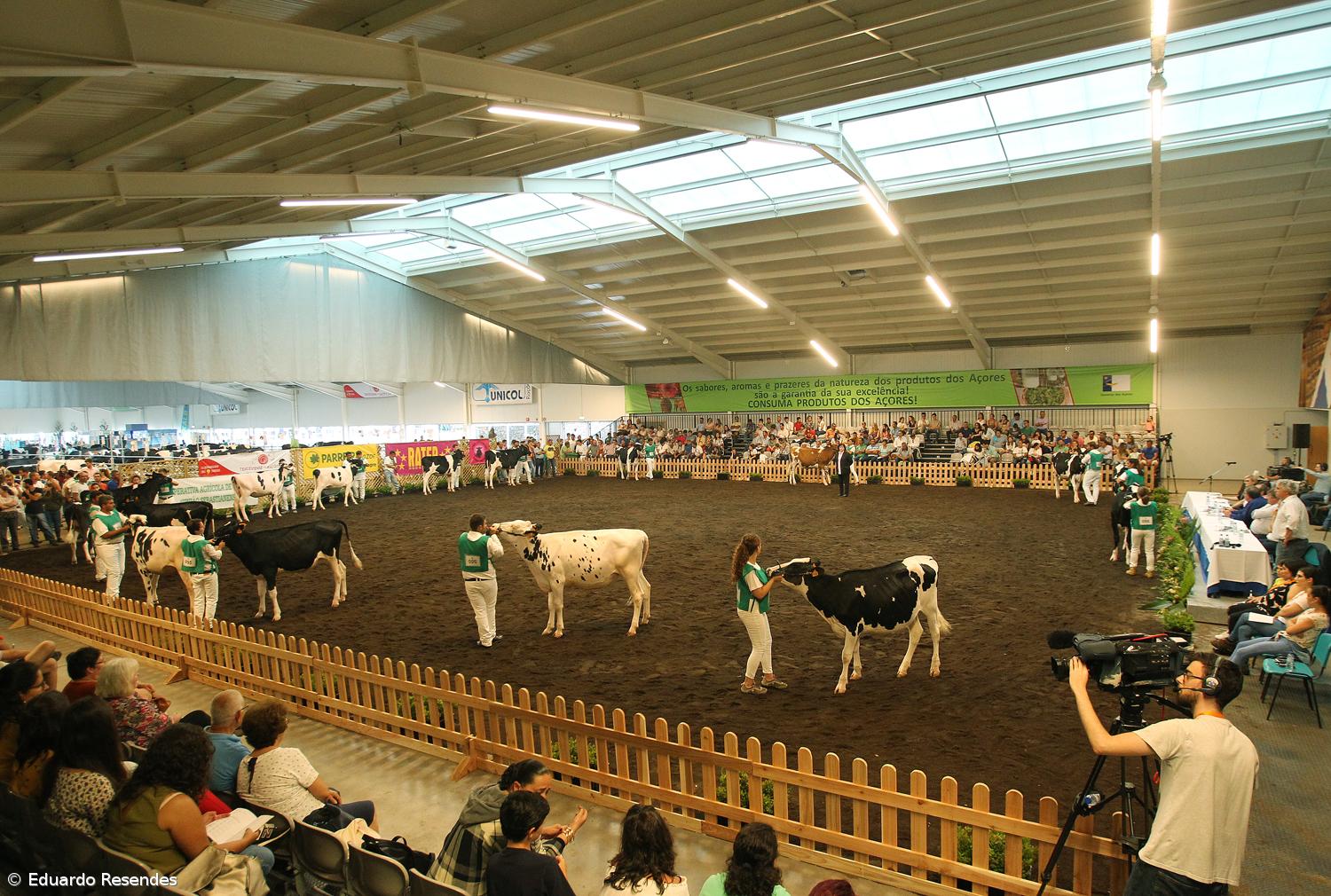 Governo dos Açores anuncia cancelamento de eventos relacionados com a agricultura – Imagem 1