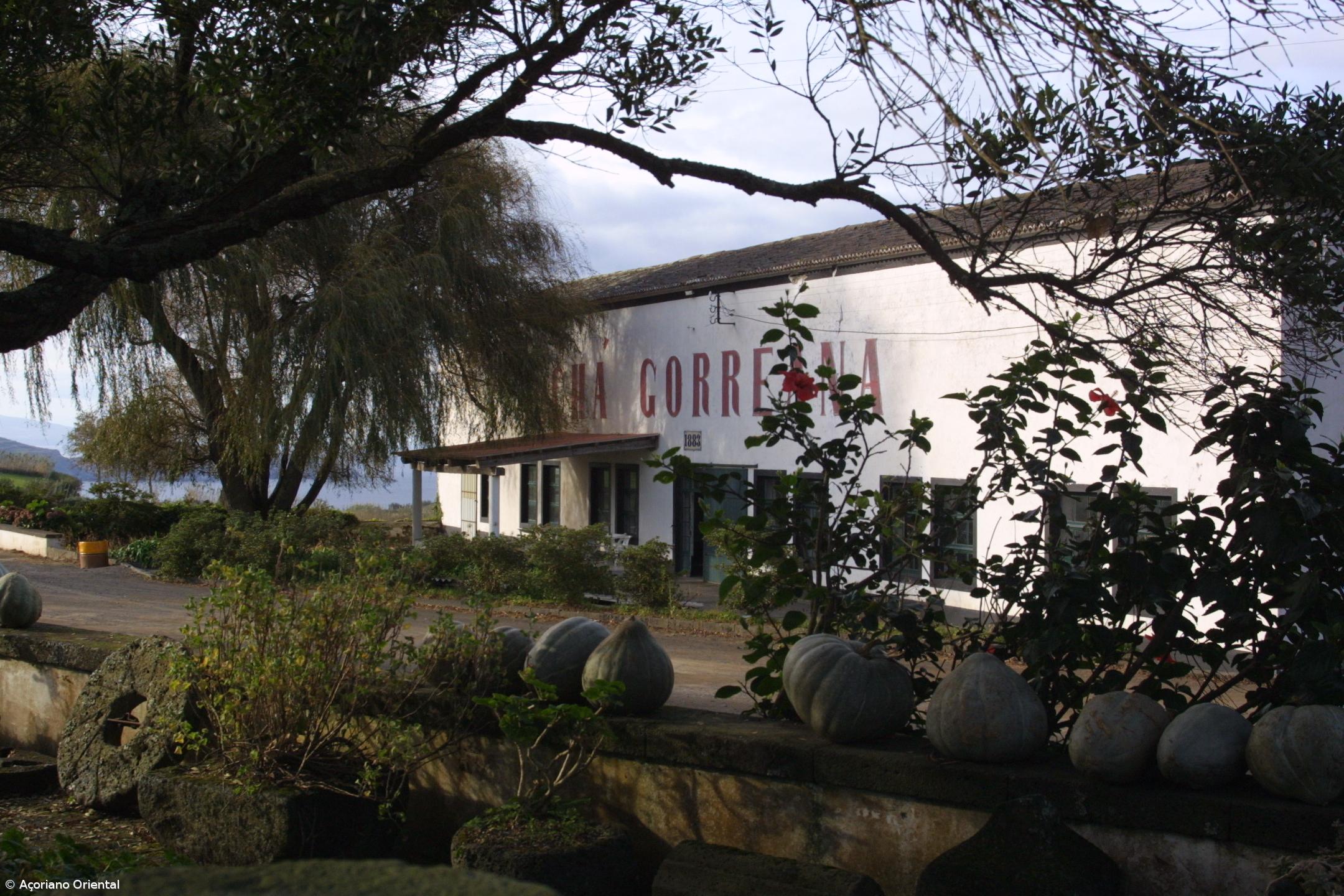 Gorreana em obras para melhorar bem-estar das visitas e funcionários – Imagem 1