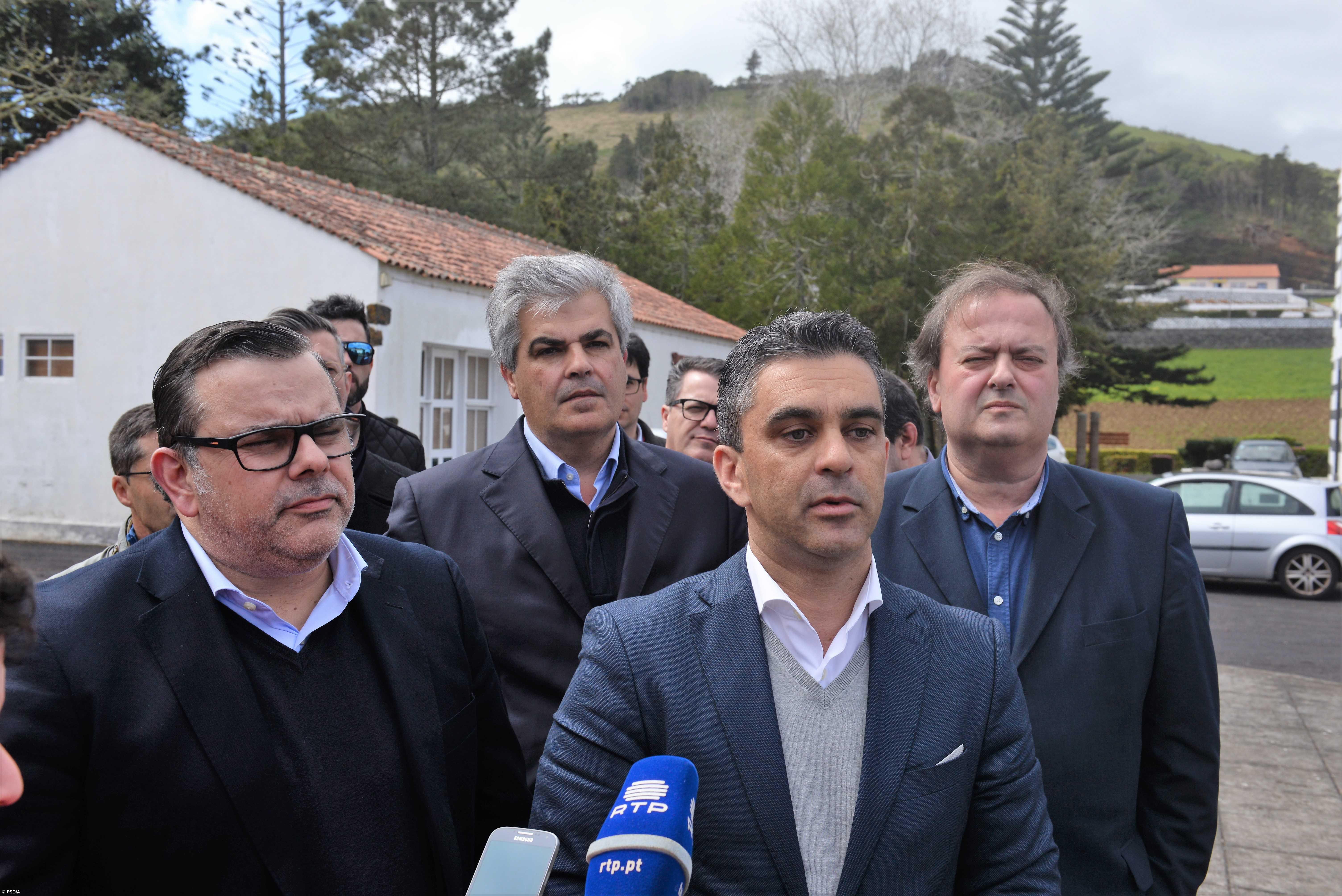 PSD alerta para “financiamento insuficiente” em formação agrícola – Imagem 1