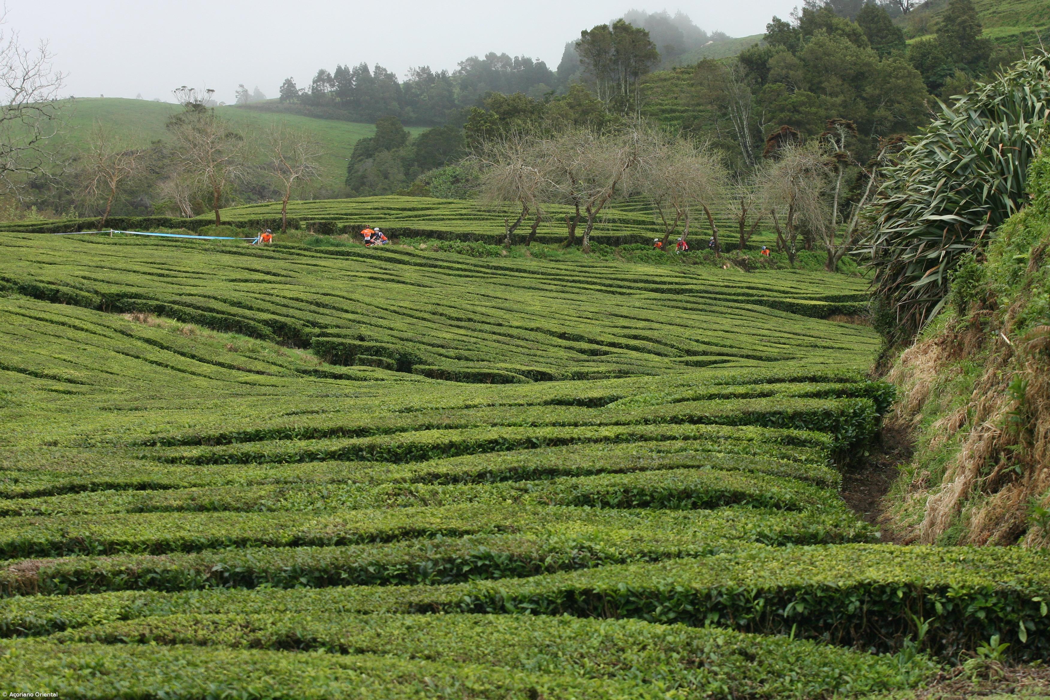 Açores associam-se às comemorações das Jornadas Europeias do Património – Imagem 1