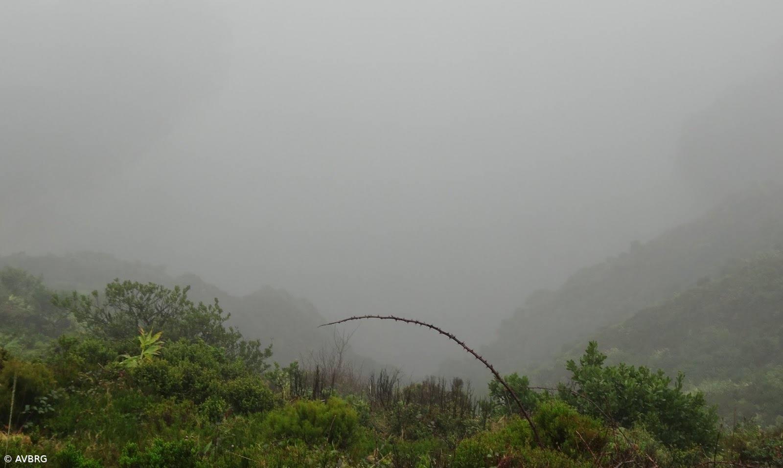 Bombeiros resgatam dois jovens perdidos na Lagoa do Fogo – Imagem 1