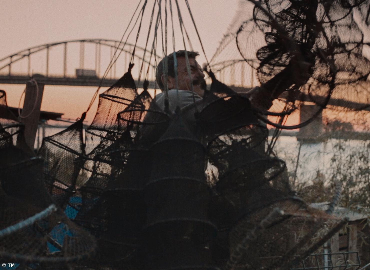 “Terra Franca” de Leonor Teles no Teatro Micaelense – Imagem 1