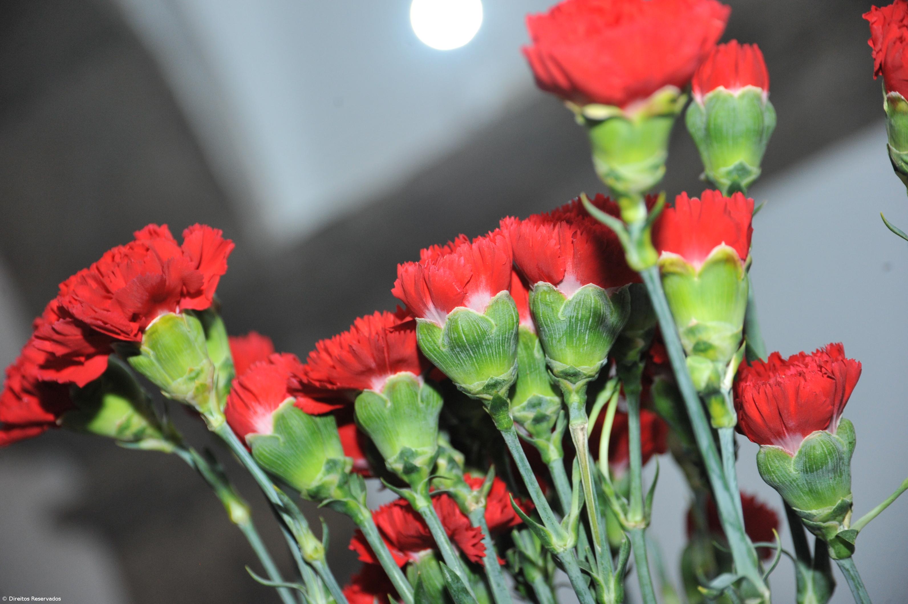 Cine Lagoense recebe concerto alusivo ao Dia da Liberdade – Imagem 1