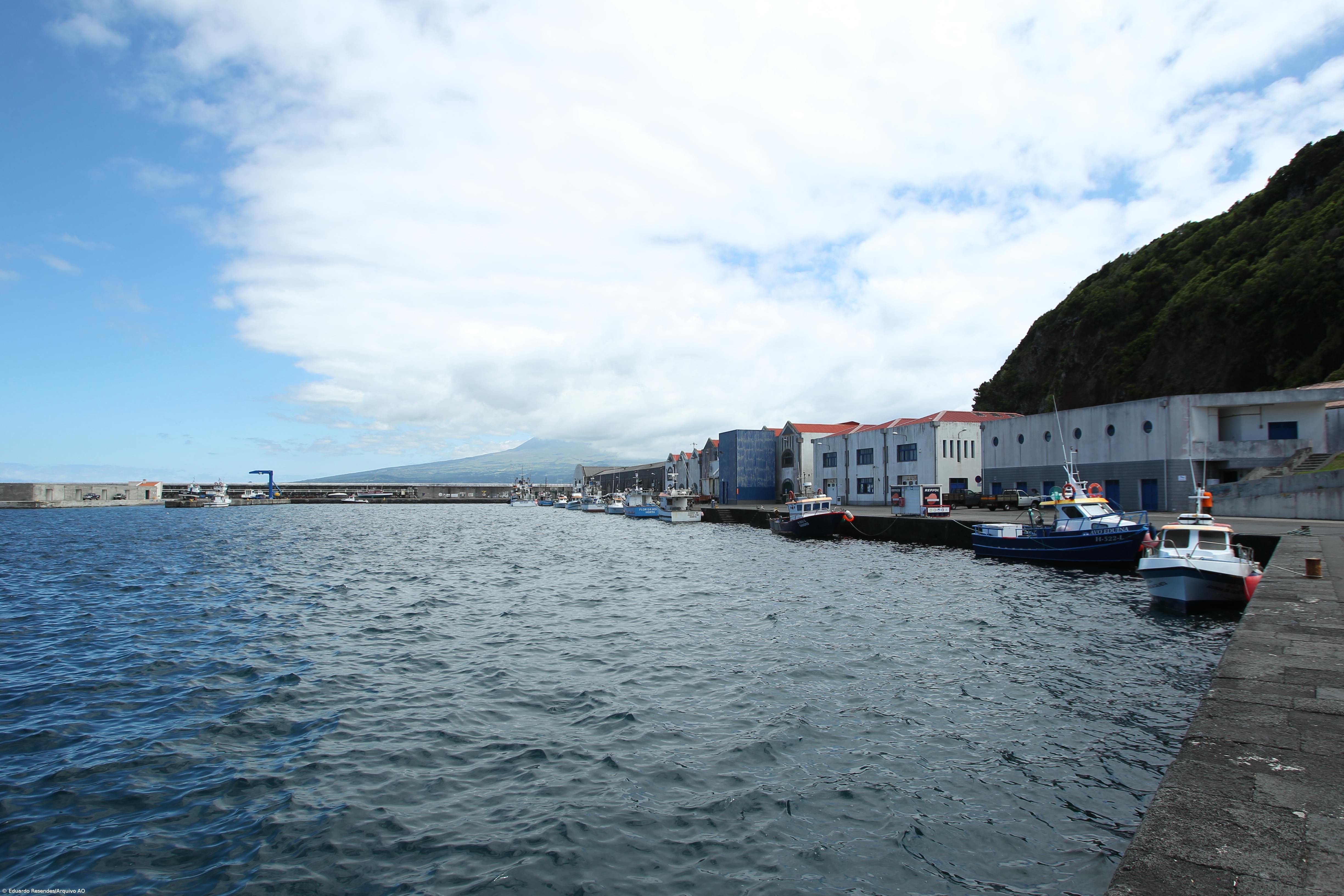 Diversos comandantes dão pareceres favoráveis a proposta para porto da Horta – Imagem 1