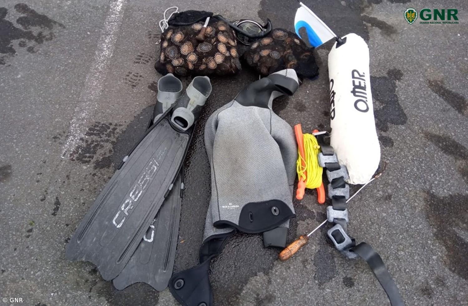 Apreensão de lapas em zona de reserva natural no Faial – Imagem 1