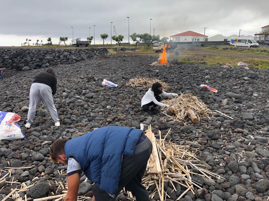 Juntas da Madalena e Criação Velha retiram meia tonelada de lixo da orla costeira – Imagem 1