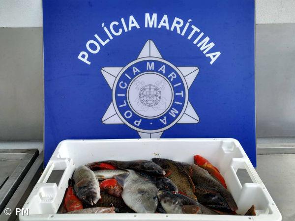 Polícia Marítima apreende 14 kg de pescado ao largo de Santa Maria – Imagem 2