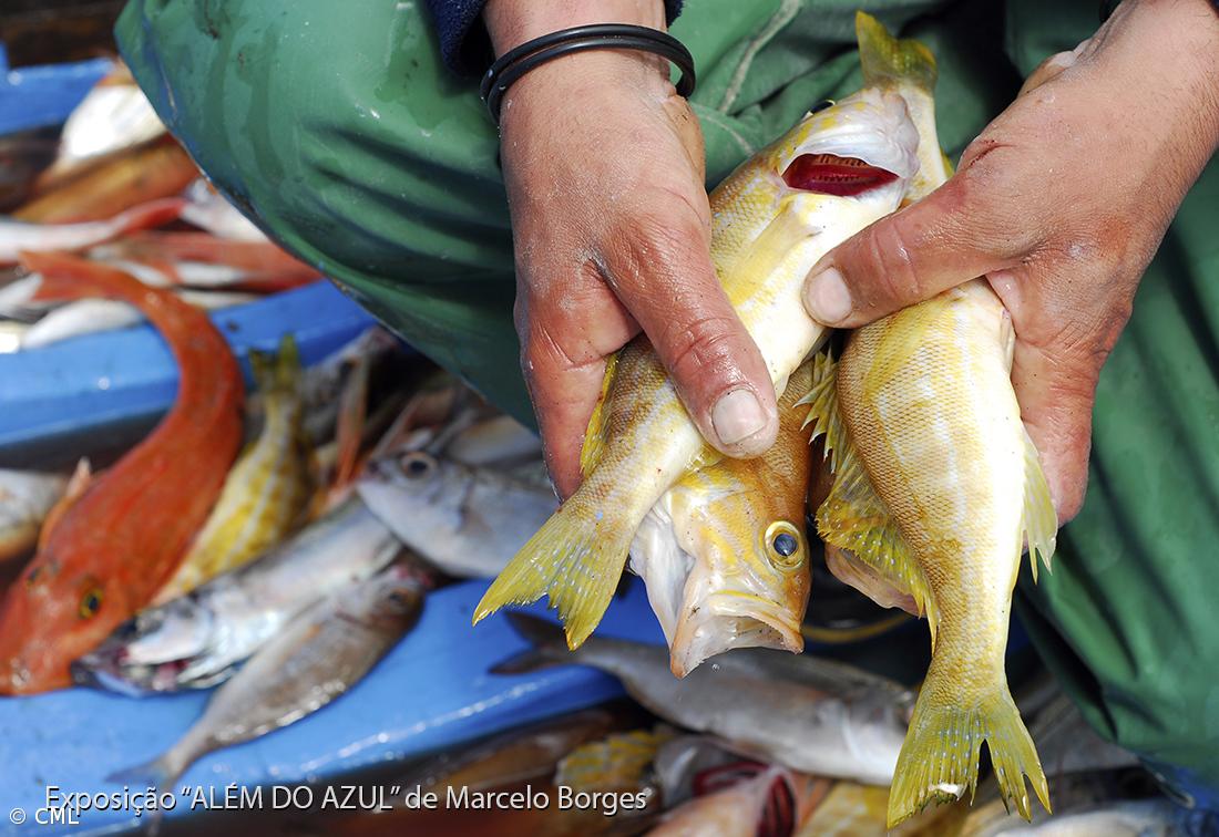 Festival Lagoa Bom Porto arranca amanhã – Imagem 2