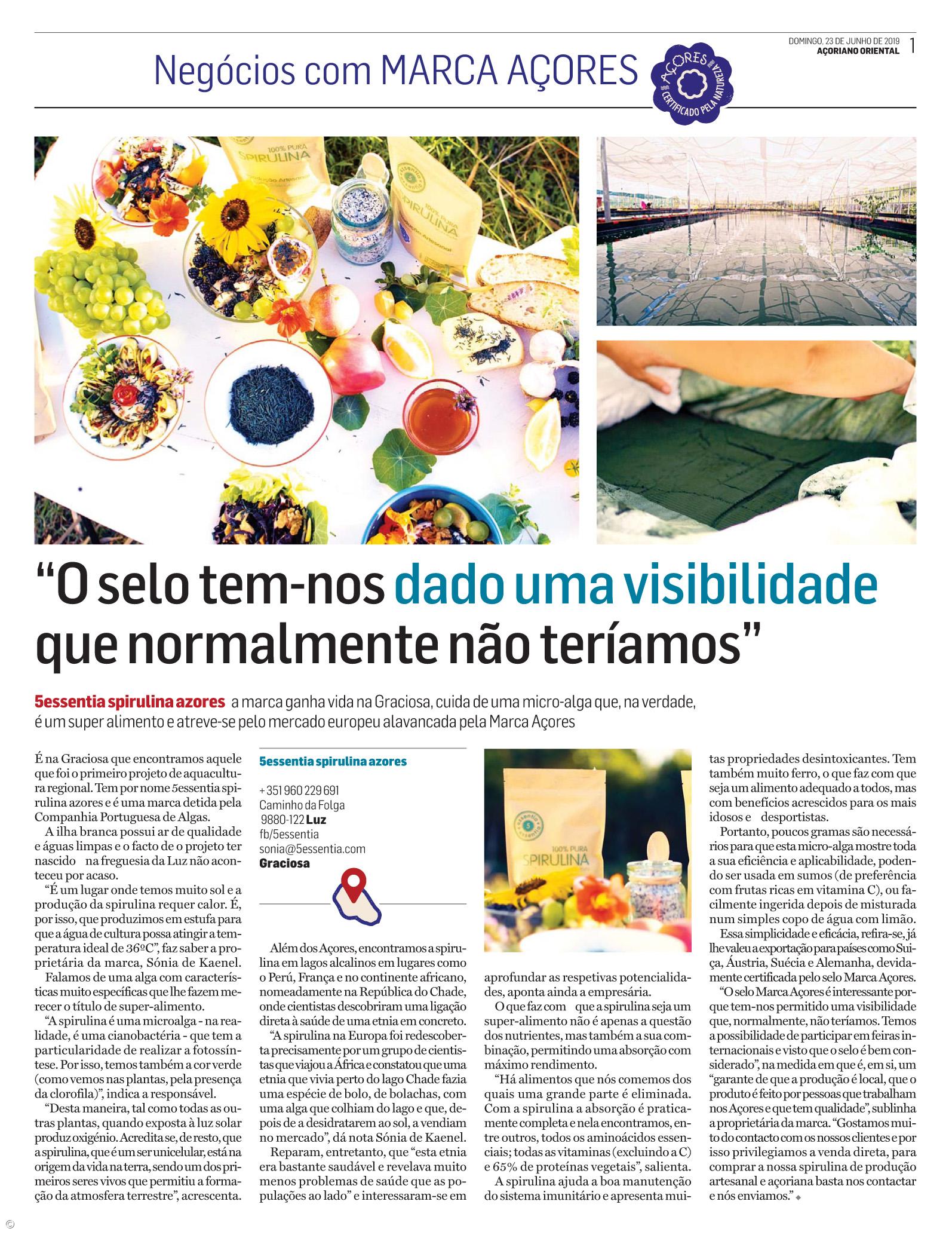 Suplemento Negócios com Marca Açores - Junho 2 – Imagem 1