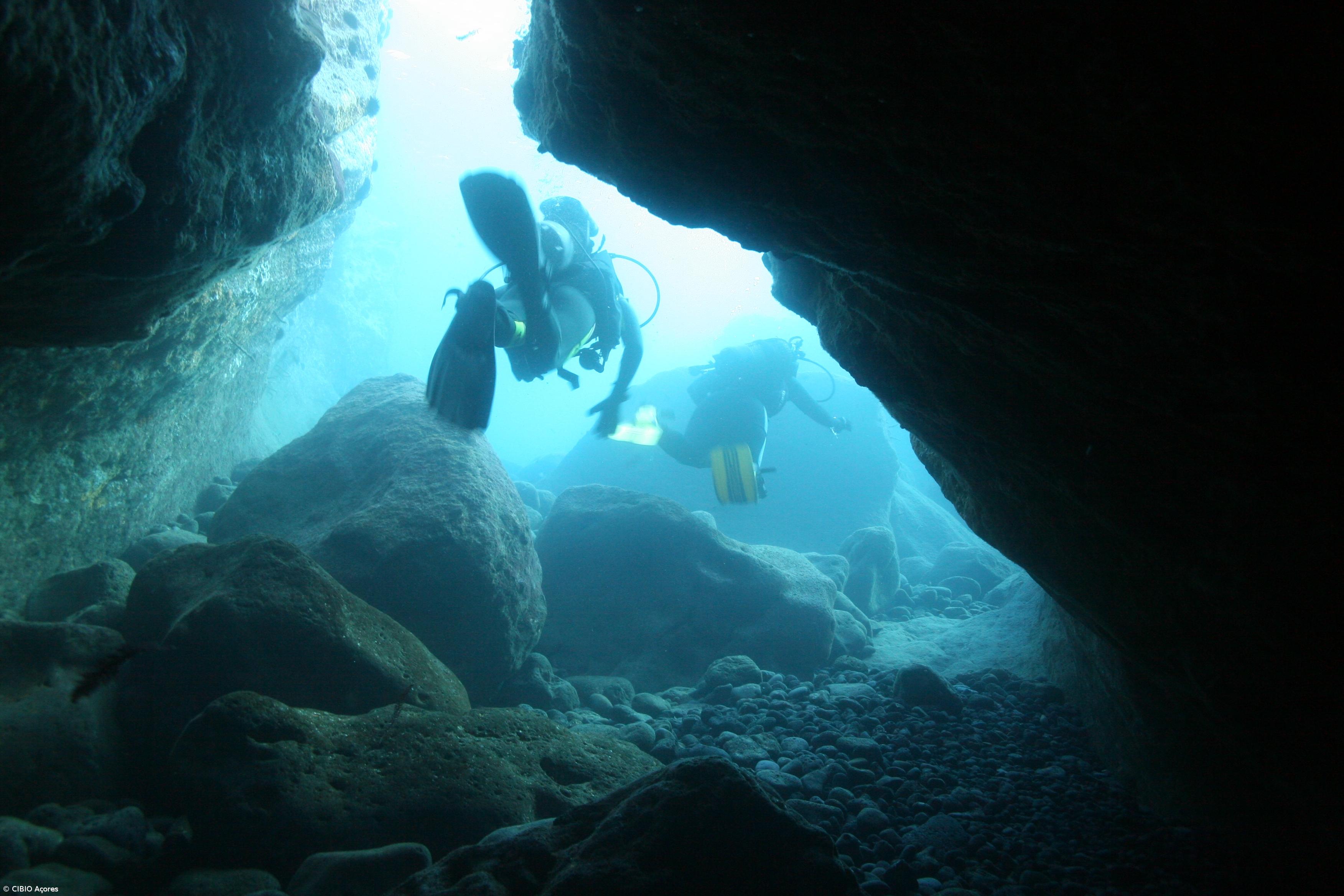Açores com vasto potencial turistico de património subaquático – Imagem 1