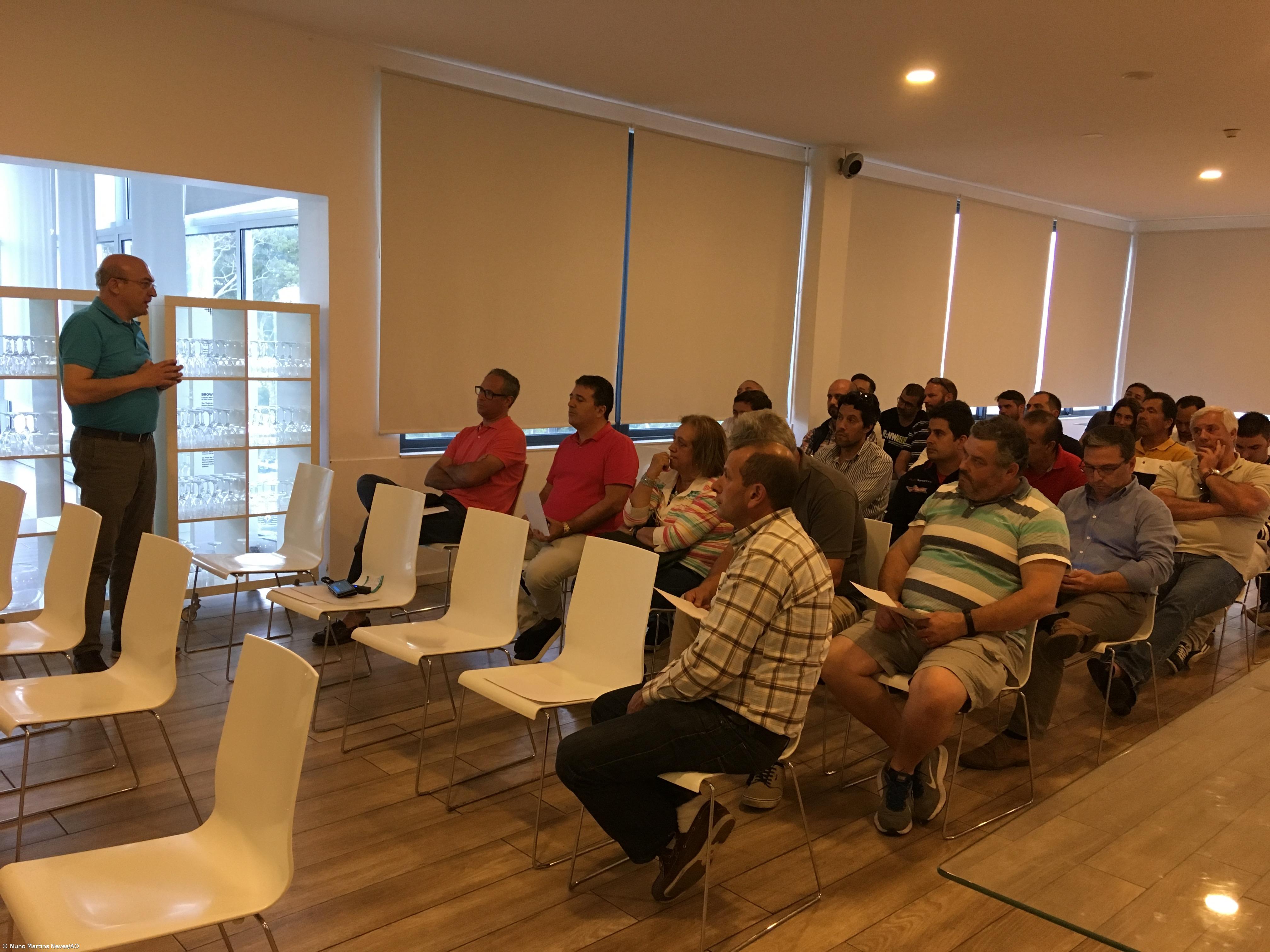 Grupo Desportivo Comercial está “tecnicamente falido” – Imagem 1