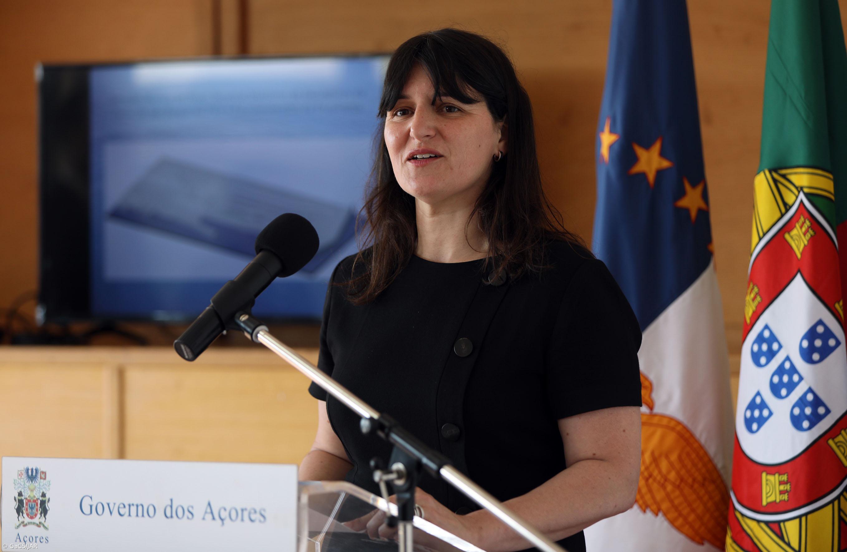 Novo navio poderá operar antes do último trimestre do ano nos Açores – Imagem 1