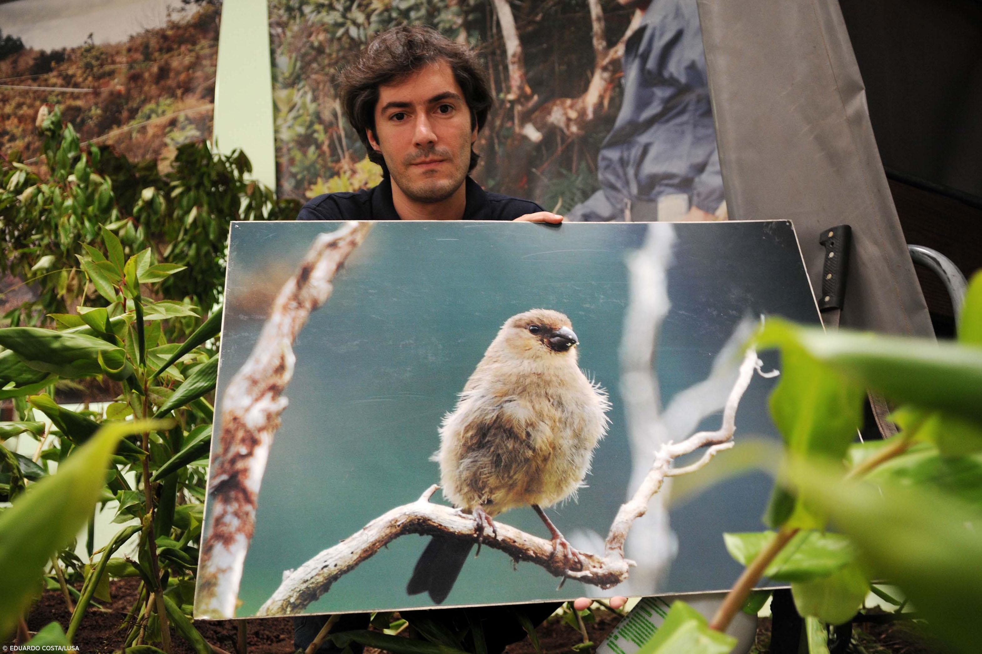 Portugal deve avançar com "conservação efetiva da biodiversidade" – Imagem 1