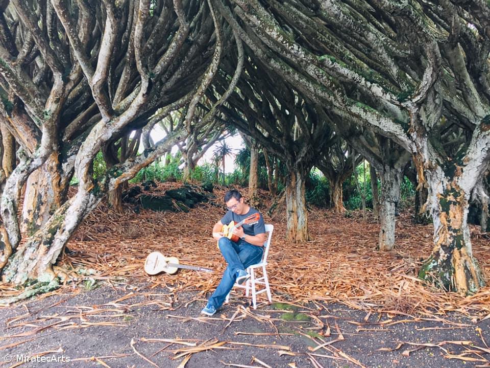 Quarta edição do Festival Cordas decorre de 11 a 15 de setembro – Imagem 1